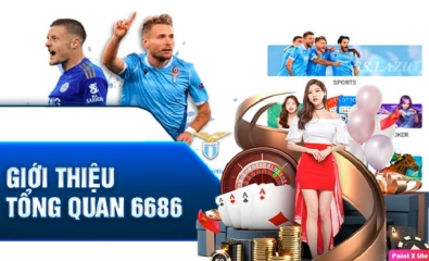6686 VN NET - Sân chơi cá cược uy tín, đáng tin cậy tại Việt Nam